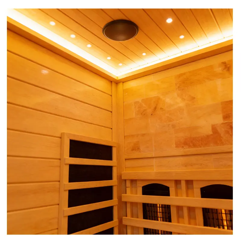 China Factory Direct Large Capacity Dual Steam Sauna Room (Dry & Wet) for Wholesale