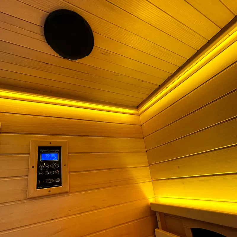 2-4 Person Outdoor Home Dry Sauna Room, Made in China Factory